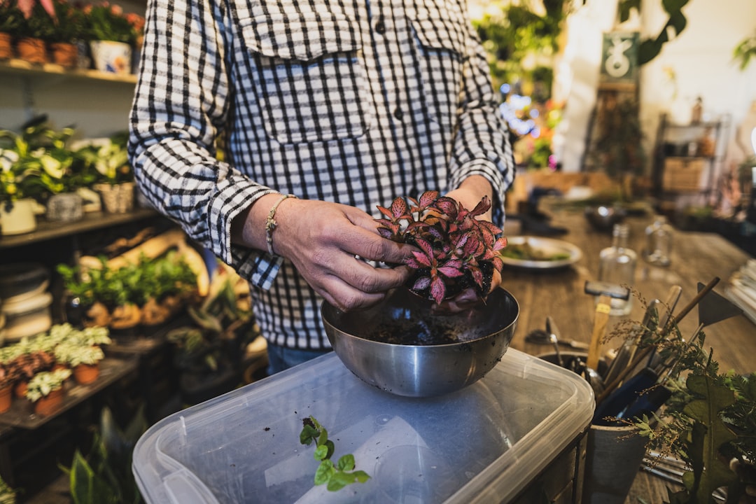 The Art of Eco-Friendly Crafting: Sustainable Practices for a Greener DIY Experience